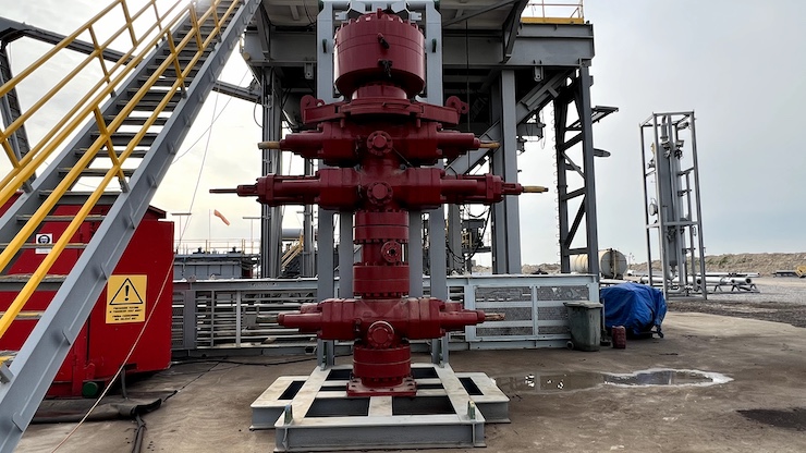 Wellhead Maintenance